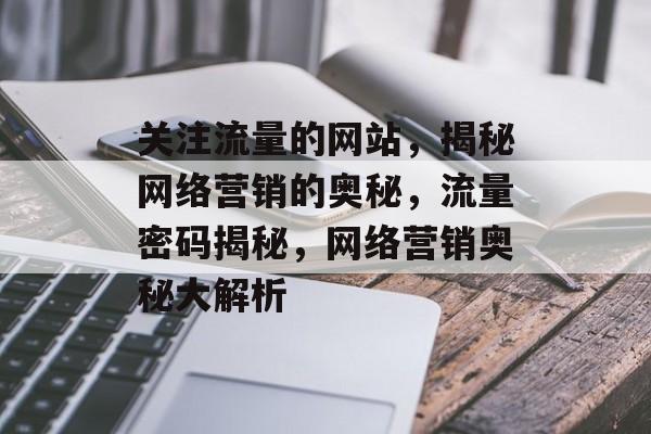 关注流量的网站，揭秘网络营销的奥秘，流量密码揭秘，网络营销奥秘大解析