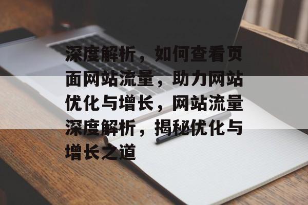 深度解析，如何查看页面网站流量，助力网站优化与增长，网站流量深度解析，揭秘优化与增长之道