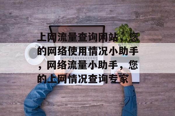上网流量查询网站，您的网络使用情况小助手，网络流量小助手，您的上网情况查询专家