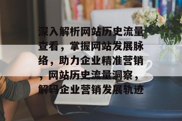 深入解析网站历史流量查看，掌握网站发展脉络，助力企业精准营销，网站历史流量洞察，解码企业营销发展轨迹