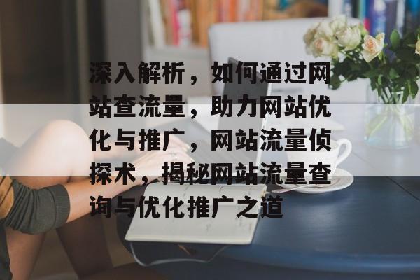 深入解析，如何通过网站查流量，助力网站优化与推广，网站流量侦探术，揭秘网站流量查询与优化推广之道