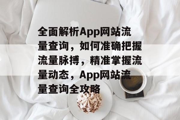 全面解析App网站流量查询，如何准确把握流量脉搏，精准掌握流量动态，App网站流量查询全攻略