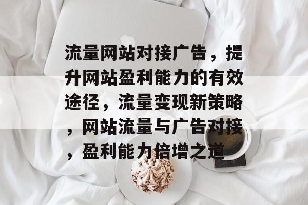 流量网站对接广告，提升网站盈利能力的有效途径，流量变现新策略，网站流量与广告对接，盈利能力倍增之道