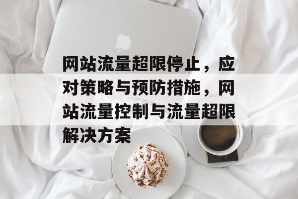 网站流量超限停止，应对策略与预防措施，网站流量控制与流量超限解决方案