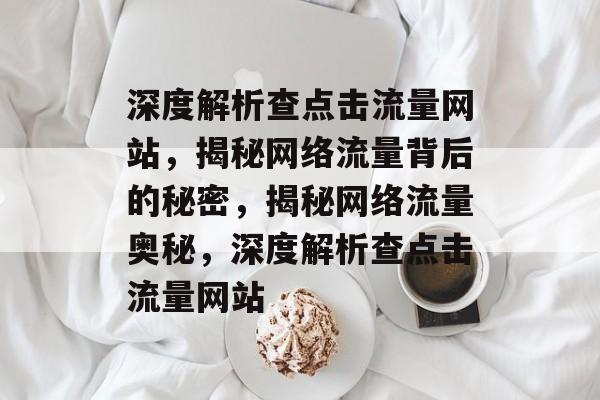 深度解析查点击流量网站，揭秘网络流量背后的秘密，揭秘网络流量奥秘，深度解析查点击流量网站
