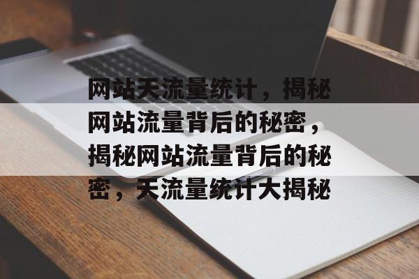 网站天流量统计，揭秘网站流量背后的秘密，揭秘网站流量背后的秘密，天流量统计大揭秘
