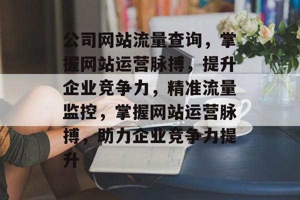 公司网站流量查询，掌握网站运营脉搏，提升企业竞争力，精准流量监控，掌握网站运营脉搏，助力企业竞争力提升
