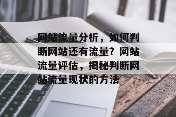 网站流量分析，如何判断网站还有流量？网站流量评估，揭秘判断网站流量现状的方法