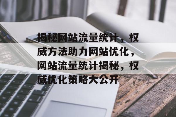揭秘网站流量统计，权威方法助力网站优化，网站流量统计揭秘，权威优化策略大公开