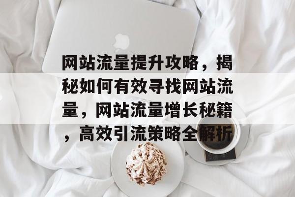 网站流量提升攻略，揭秘如何有效寻找网站流量，网站流量增长秘籍，高效引流策略全解析
