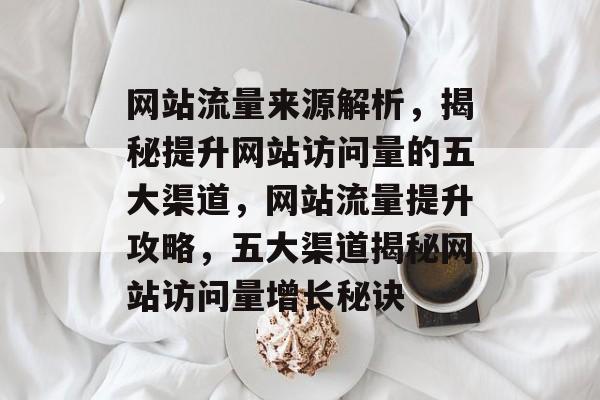 网站流量来源解析，揭秘提升网站访问量的五大渠道，网站流量提升攻略，五大渠道揭秘网站访问量增长秘诀