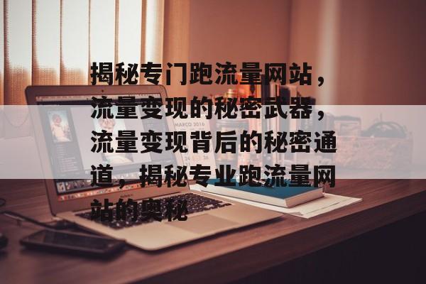 揭秘专门跑流量网站，流量变现的秘密武器，流量变现背后的秘密通道，揭秘专业跑流量网站的奥秘