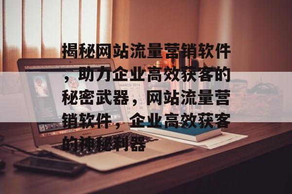 揭秘网站流量营销软件，助力企业高效获客的秘密武器，网站流量营销软件，企业高效获客的神秘利器