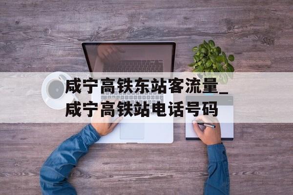 咸宁高铁东站客流量_咸宁高铁站电话号码
