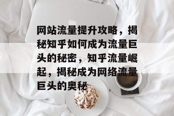 网站流量提升攻略，揭秘知乎如何成为流量巨头的秘密，知乎流量崛起，揭秘成为网络流量巨头的奥秘