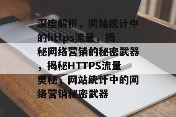 深度解析，网站统计中的https流量，揭秘网络营销的秘密武器，揭秘HTTPS流量奥秘，网站统计中的网络营销秘密武器