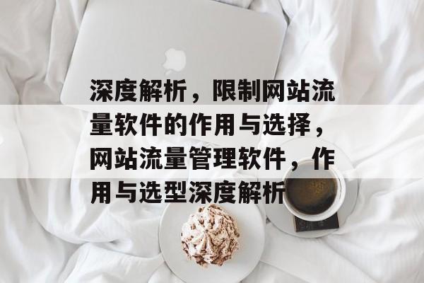 深度解析，限制网站流量软件的作用与选择，网站流量管理软件，作用与选型深度解析