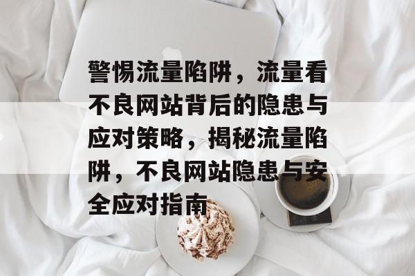 警惕流量陷阱，流量看不良网站背后的隐患与应对策略，揭秘流量陷阱，不良网站隐患与安全应对指南