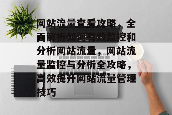 网站流量查看攻略，全面解析如何有效监控和分析网站流量，网站流量监控与分析全攻略，高效提升网站流量管理技巧