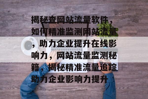 揭秘查网站流量软件，如何精准监测网站流量，助力企业提升在线影响力，网站流量监测秘籍，揭秘精准流量追踪助力企业影响力提升