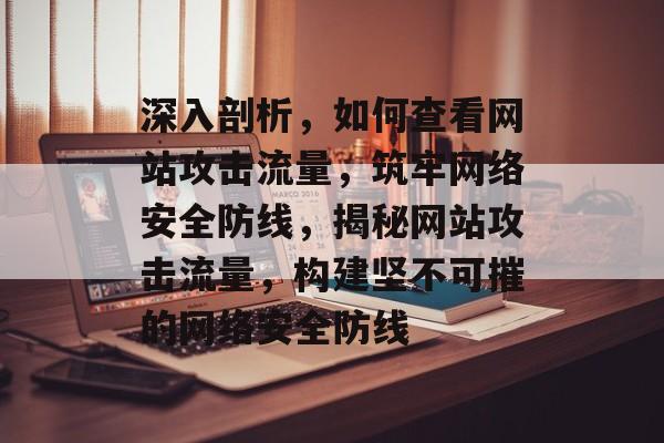 深入剖析，如何查看网站攻击流量，筑牢网络安全防线，揭秘网站攻击流量，构建坚不可摧的网络安全防线