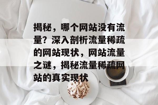 揭秘，哪个网站没有流量？深入剖析流量稀疏的网站现状，网站流量之谜，揭秘流量稀疏网站的真实现状