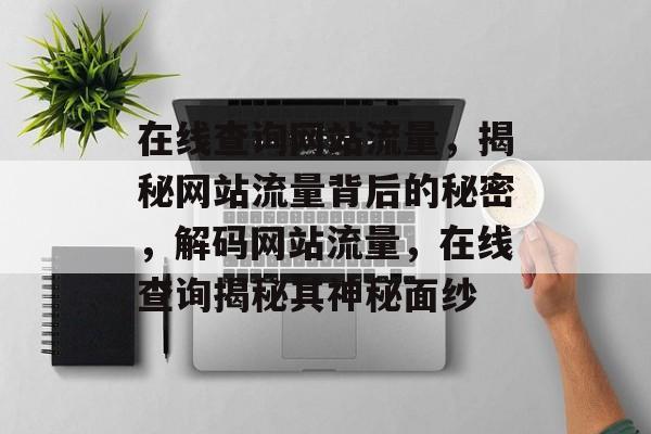 在线查询网站流量，揭秘网站流量背后的秘密，解码网站流量，在线查询揭秘其神秘面纱