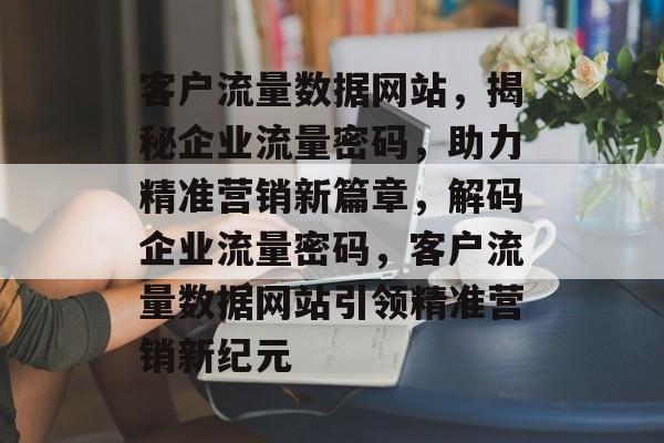 客户流量数据网站，揭秘企业流量密码，助力精准营销新篇章，解码企业流量密码，客户流量数据网站引领精准营销新纪元
