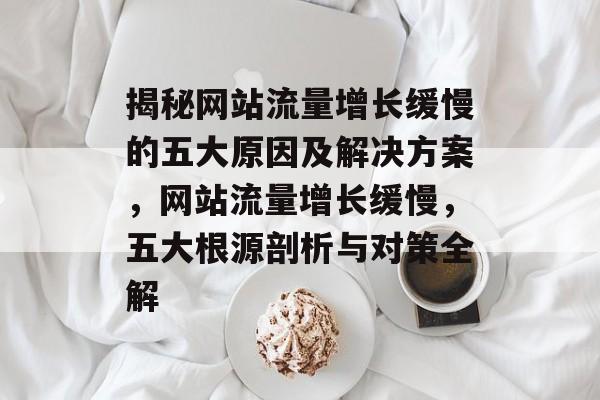 揭秘网站流量增长缓慢的五大原因及解决方案，网站流量增长缓慢，五大根源剖析与对策全解