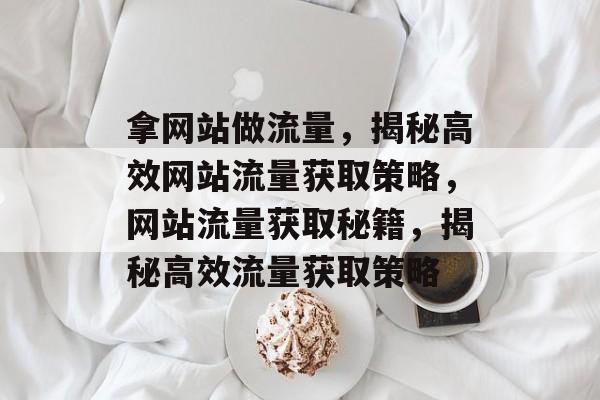 拿网站做流量，揭秘高效网站流量获取策略，网站流量获取秘籍，揭秘高效流量获取策略