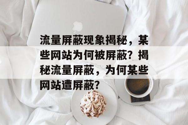 流量屏蔽现象揭秘，某些网站为何被屏蔽？揭秘流量屏蔽，为何某些网站遭屏蔽？