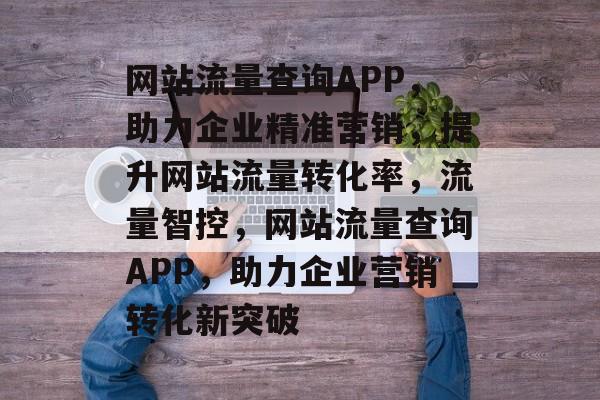 网站流量查询APP，助力企业精准营销，提升网站流量转化率，流量智控，网站流量查询APP，助力企业营销转化新突破