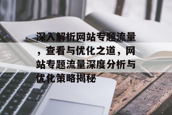 深入解析网站专题流量，查看与优化之道，网站专题流量深度分析与优化策略揭秘