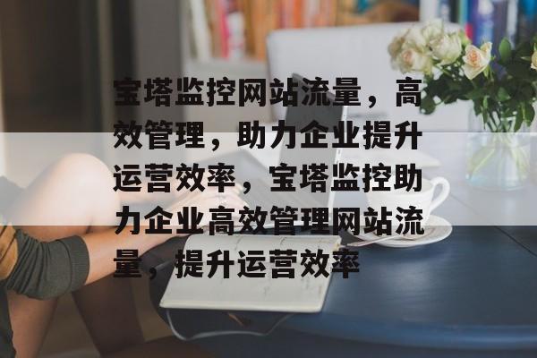 宝塔监控网站流量，高效管理，助力企业提升运营效率，宝塔监控助力企业高效管理网站流量，提升运营效率