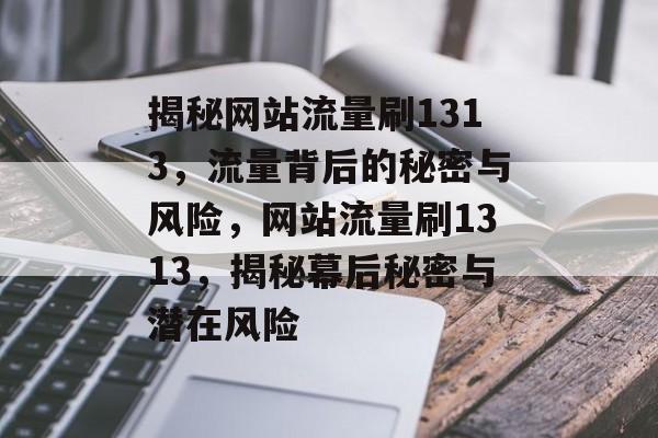 揭秘网站流量刷1313，流量背后的秘密与风险，网站流量刷1313，揭秘幕后秘密与潜在风险