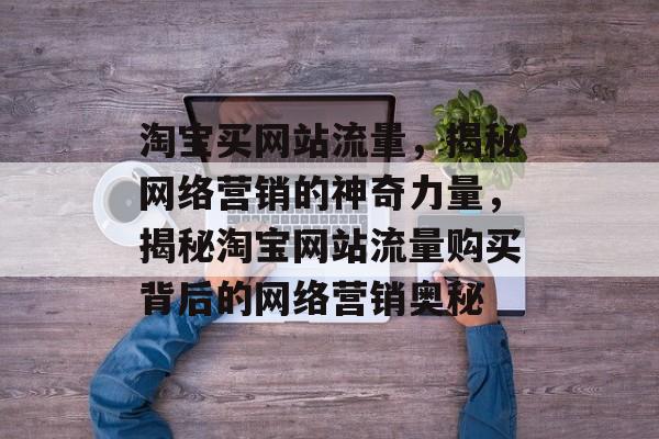 淘宝买网站流量，揭秘网络营销的神奇力量，揭秘淘宝网站流量购买背后的网络营销奥秘