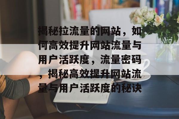 揭秘拉流量的网站，如何高效提升网站流量与用户活跃度，流量密码，揭秘高效提升网站流量与用户活跃度的秘诀