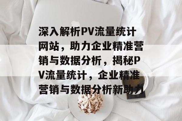 深入解析PV流量统计网站，助力企业精准营销与数据分析，揭秘PV流量统计，企业精准营销与数据分析新助力