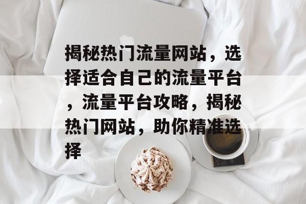 揭秘热门流量网站，选择适合自己的流量平台，流量平台攻略，揭秘热门网站，助你精准选择