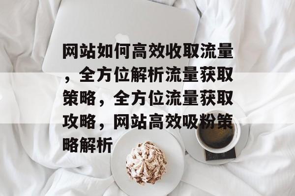网站如何高效收取流量，全方位解析流量获取策略，全方位流量获取攻略，网站高效吸粉策略解析