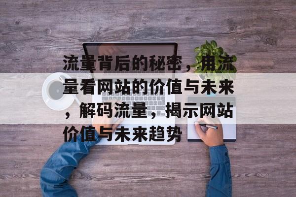 流量背后的秘密，用流量看网站的价值与未来，解码流量，揭示网站价值与未来趋势