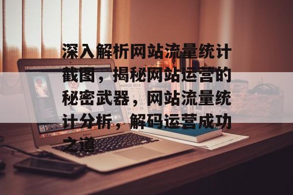 深入解析网站流量统计截图，揭秘网站运营的秘密武器，网站流量统计分析，解码运营成功之道