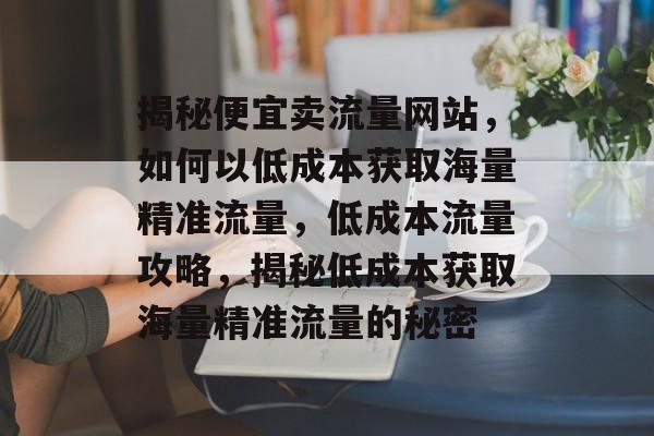 揭秘便宜卖流量网站，如何以低成本获取海量精准流量，低成本流量攻略，揭秘低成本获取海量精准流量的秘密