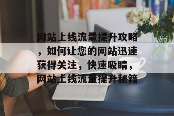 网站上线流量提升攻略，如何让您的网站迅速获得关注，快速吸睛，网站上线流量提升秘籍