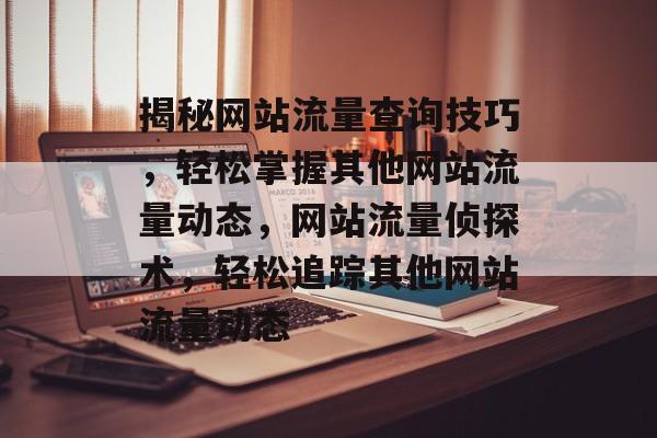 揭秘网站流量查询技巧，轻松掌握其他网站流量动态，网站流量侦探术，轻松追踪其他网站流量动态