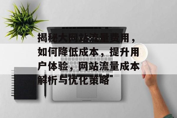 揭秘大网站流量费用，如何降低成本，提升用户体验，网站流量成本解析与优化策略