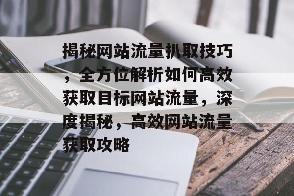 揭秘网站流量扒取技巧，全方位解析如何高效获取目标网站流量，深度揭秘，高效网站流量获取攻略