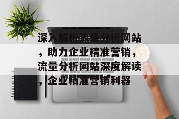 深入解析流量分析网站，助力企业精准营销，流量分析网站深度解读，企业精准营销利器