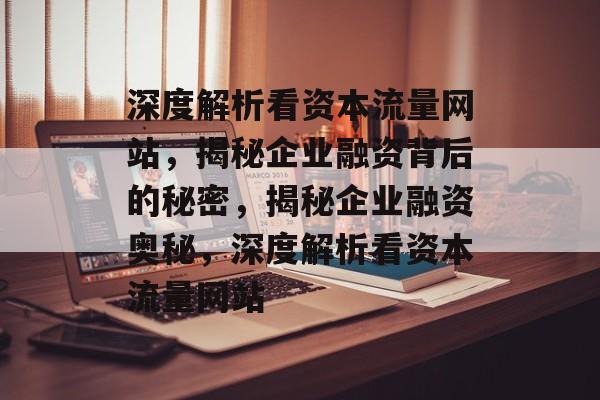 深度解析看资本流量网站，揭秘企业融资背后的秘密，揭秘企业融资奥秘，深度解析看资本流量网站