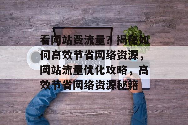 看网站费流量？揭秘如何高效节省网络资源，网站流量优化攻略，高效节省网络资源秘籍